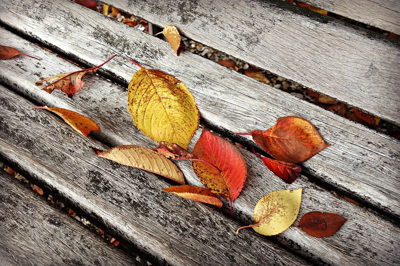 Herbst