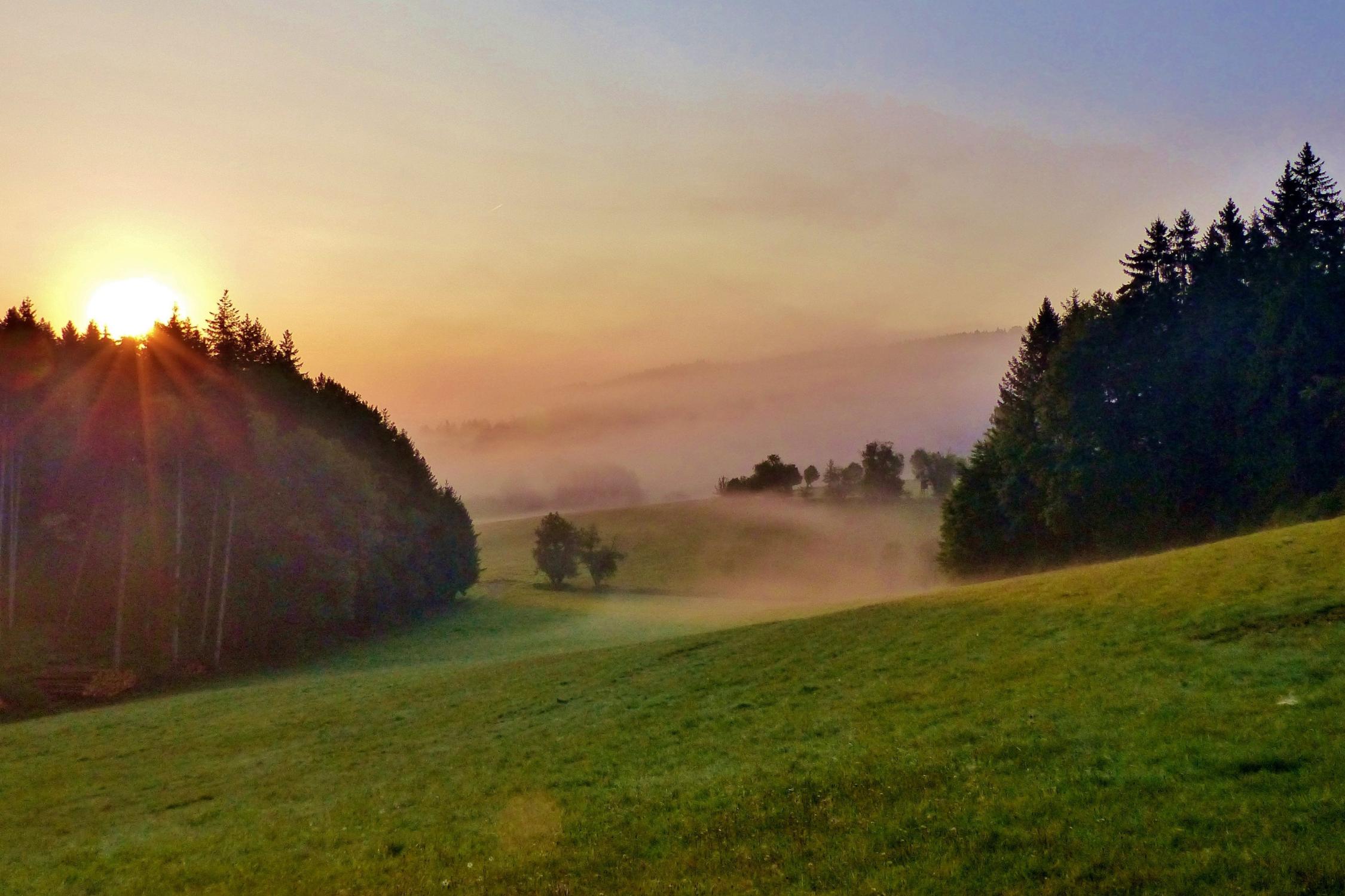 Nebel