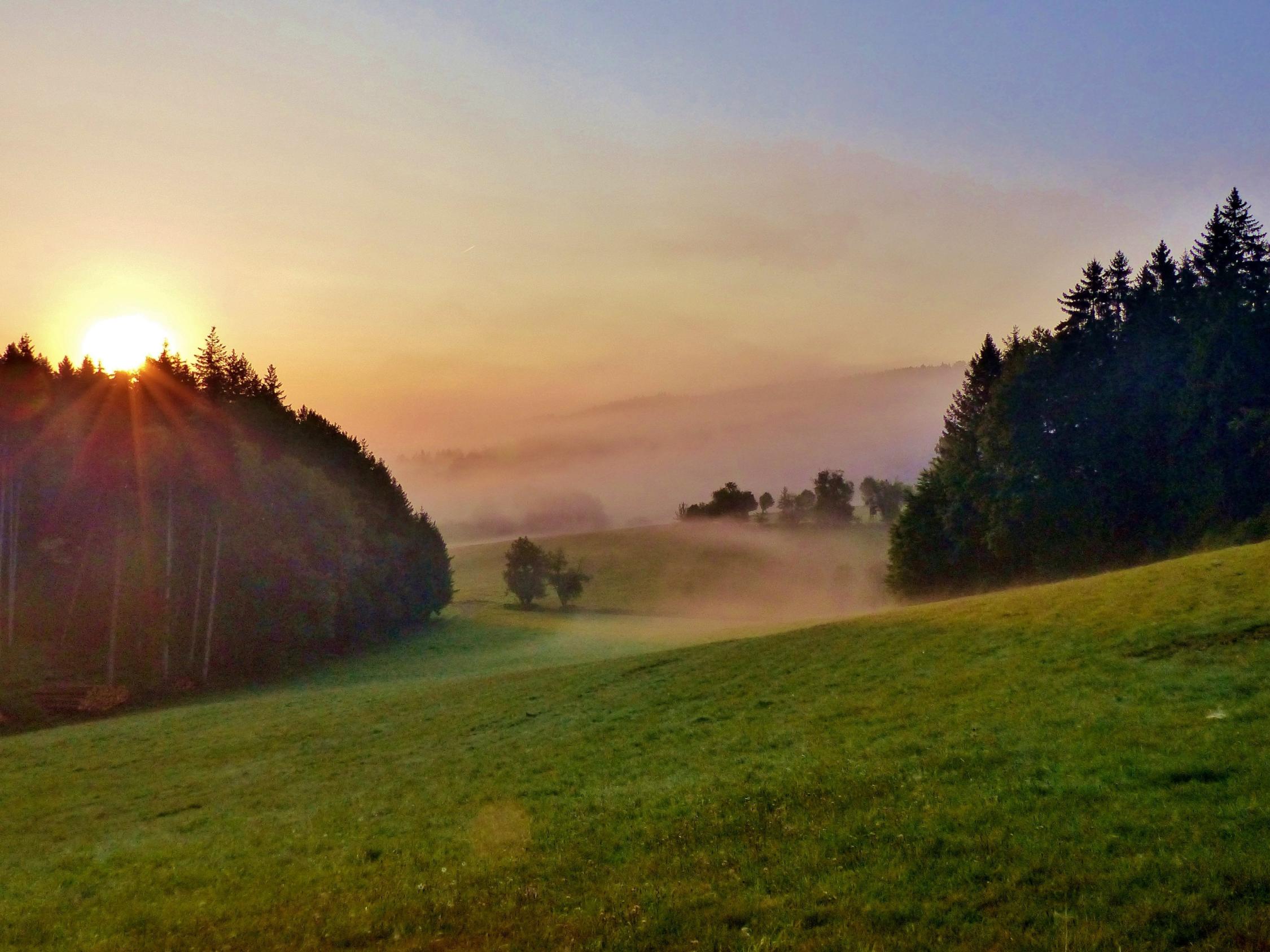 Nebel