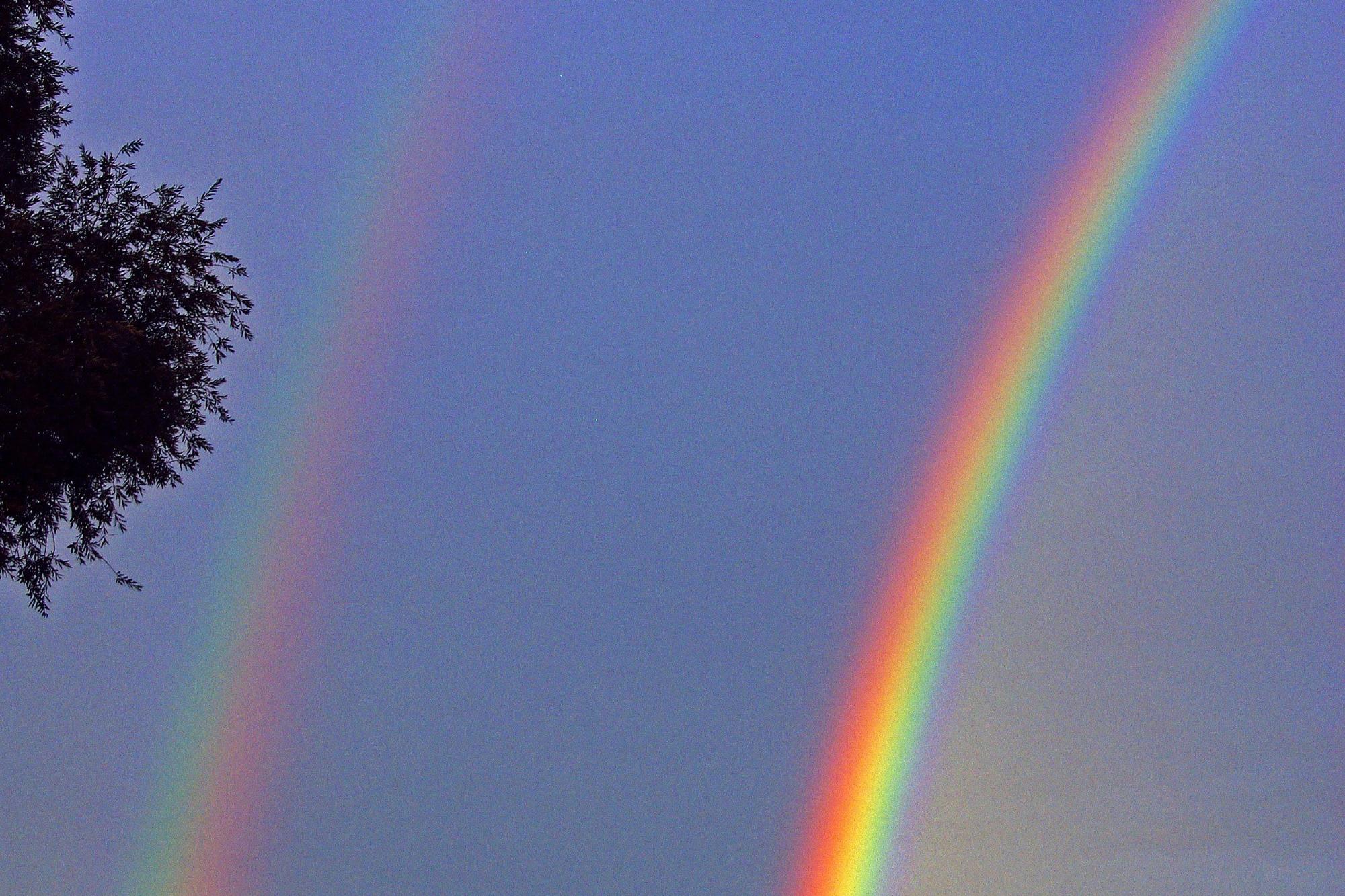 Regenbogen