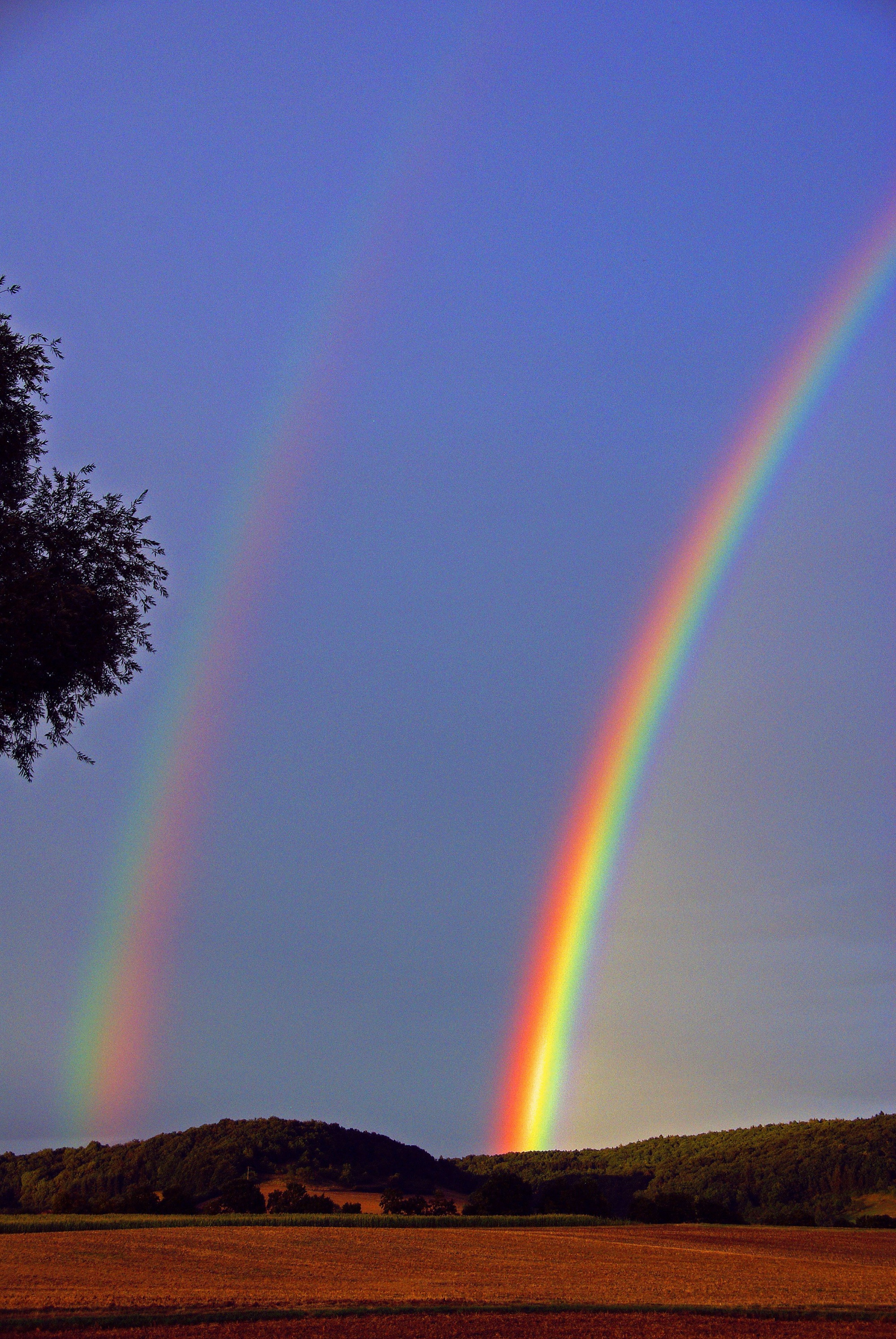 Regenbogen