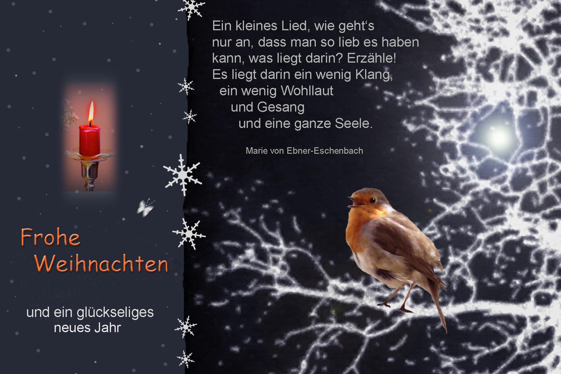 Vogel