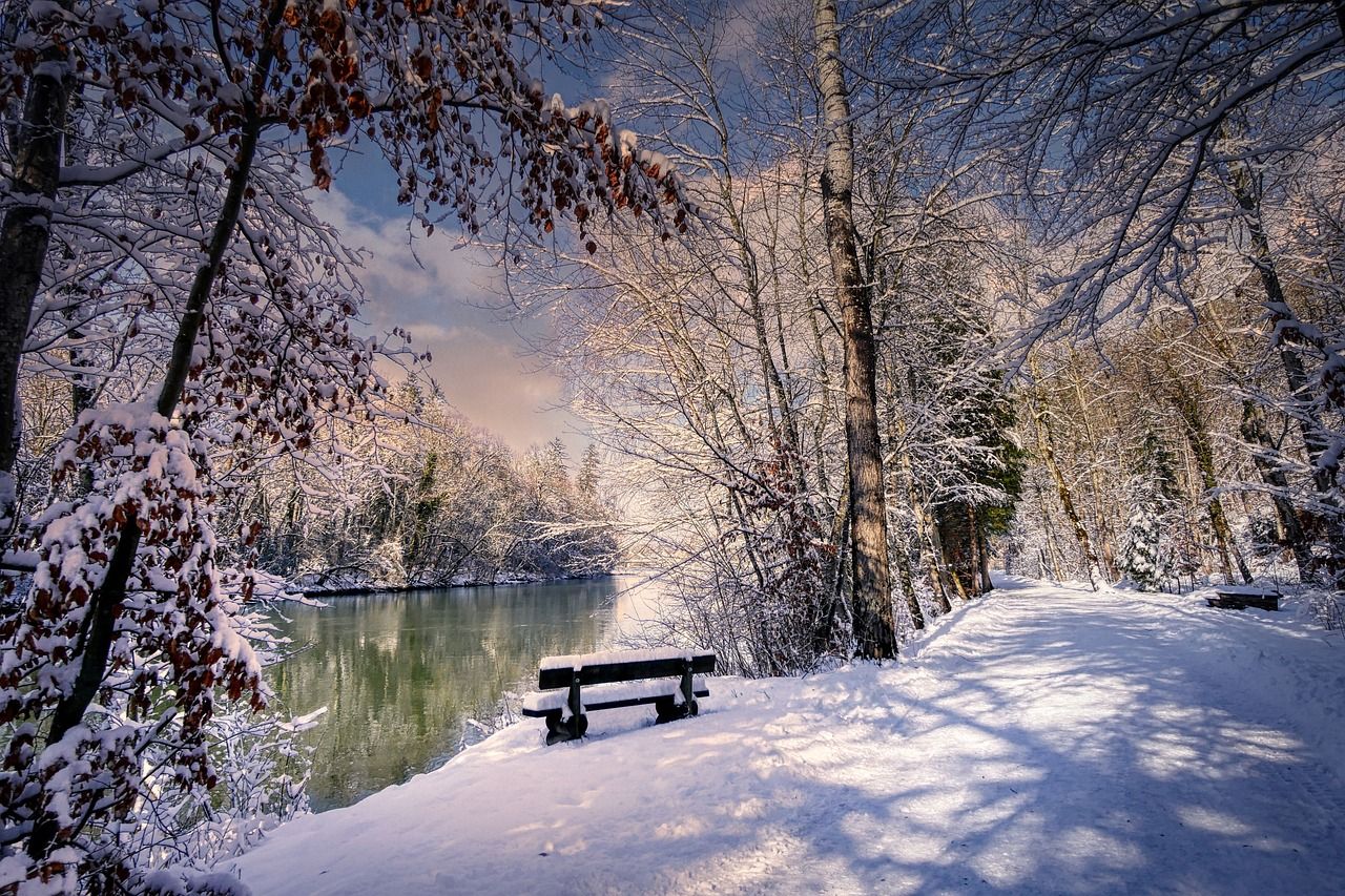 Winter
