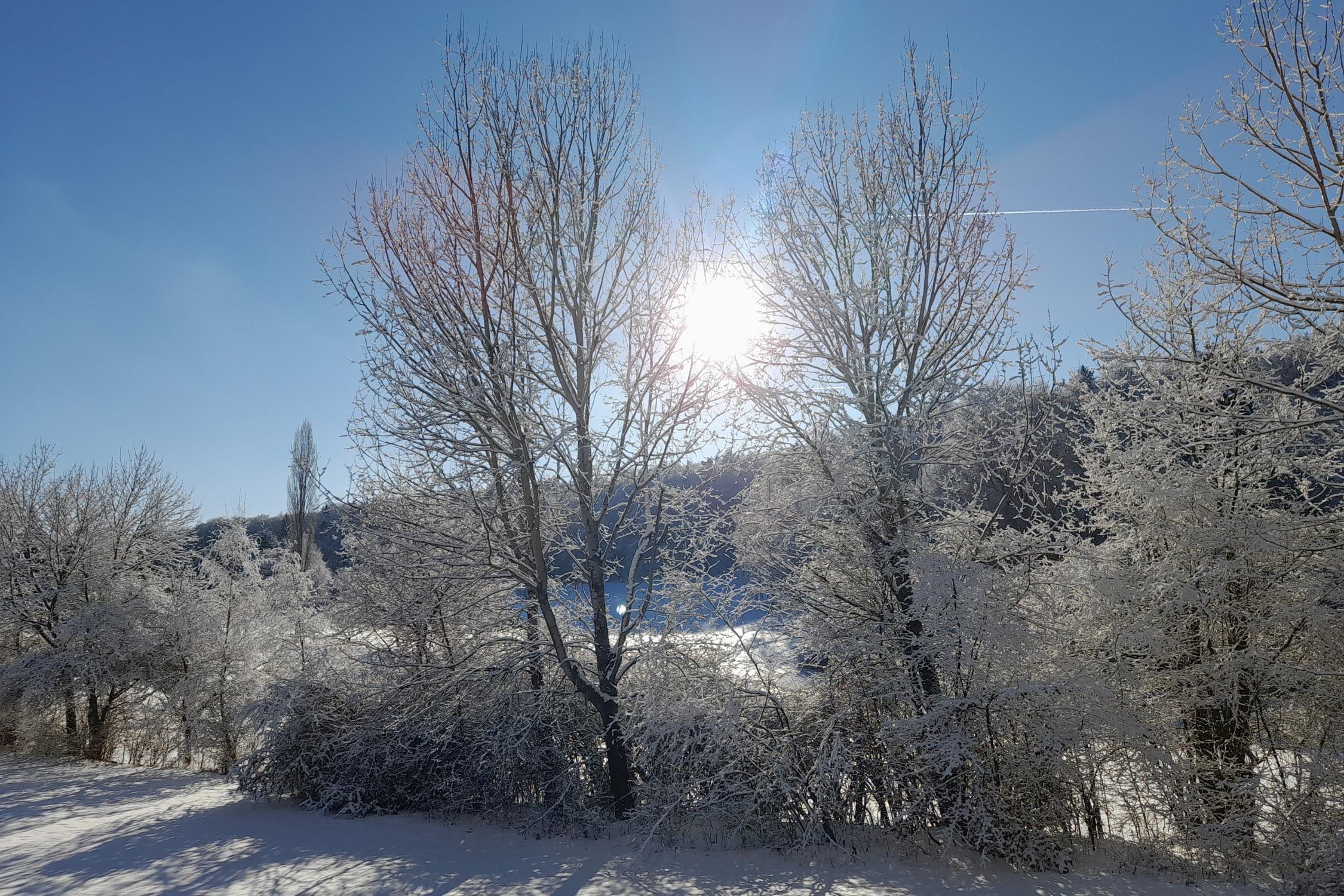 Winterlandschaft