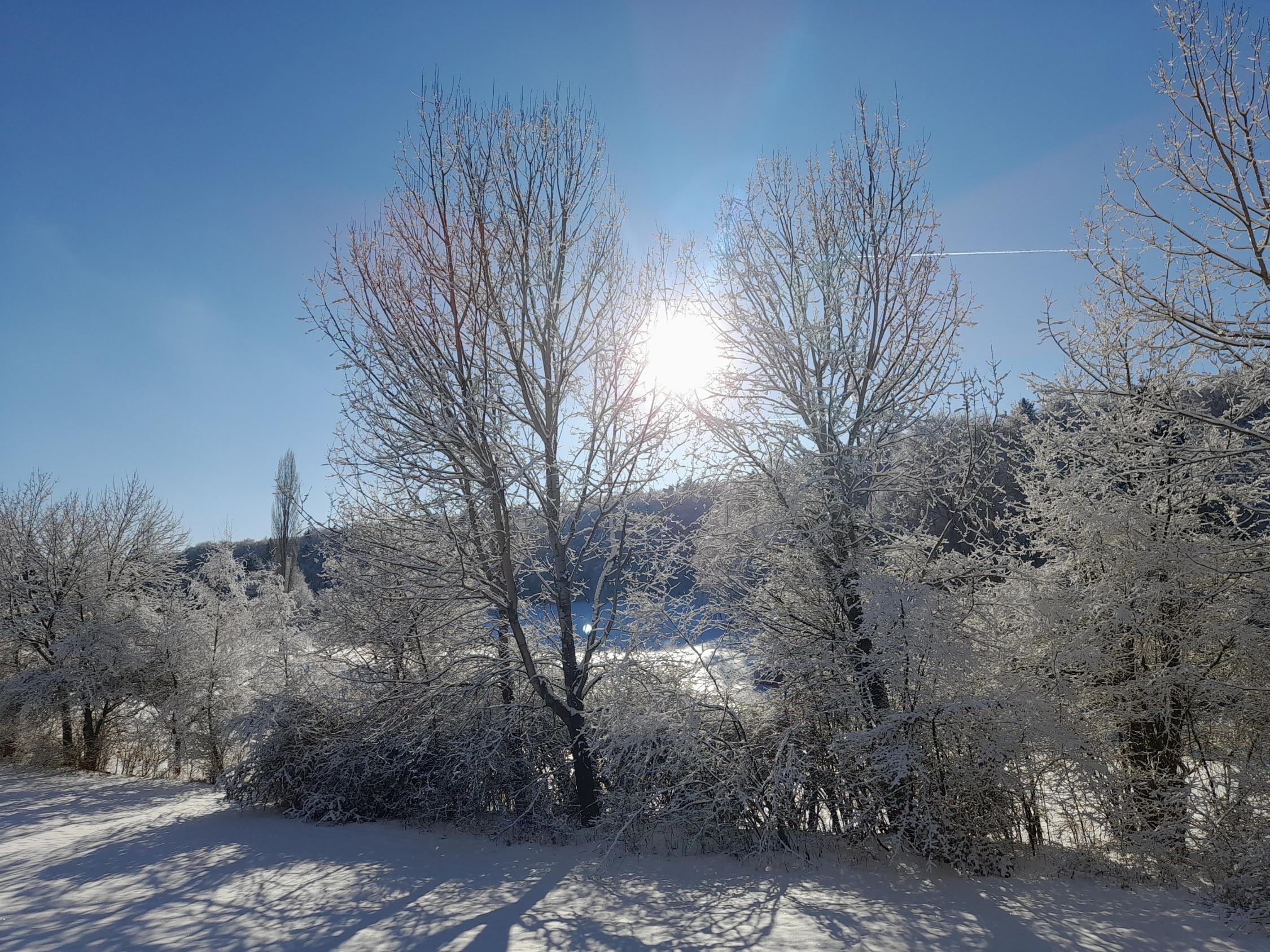 Winterlandschaft
